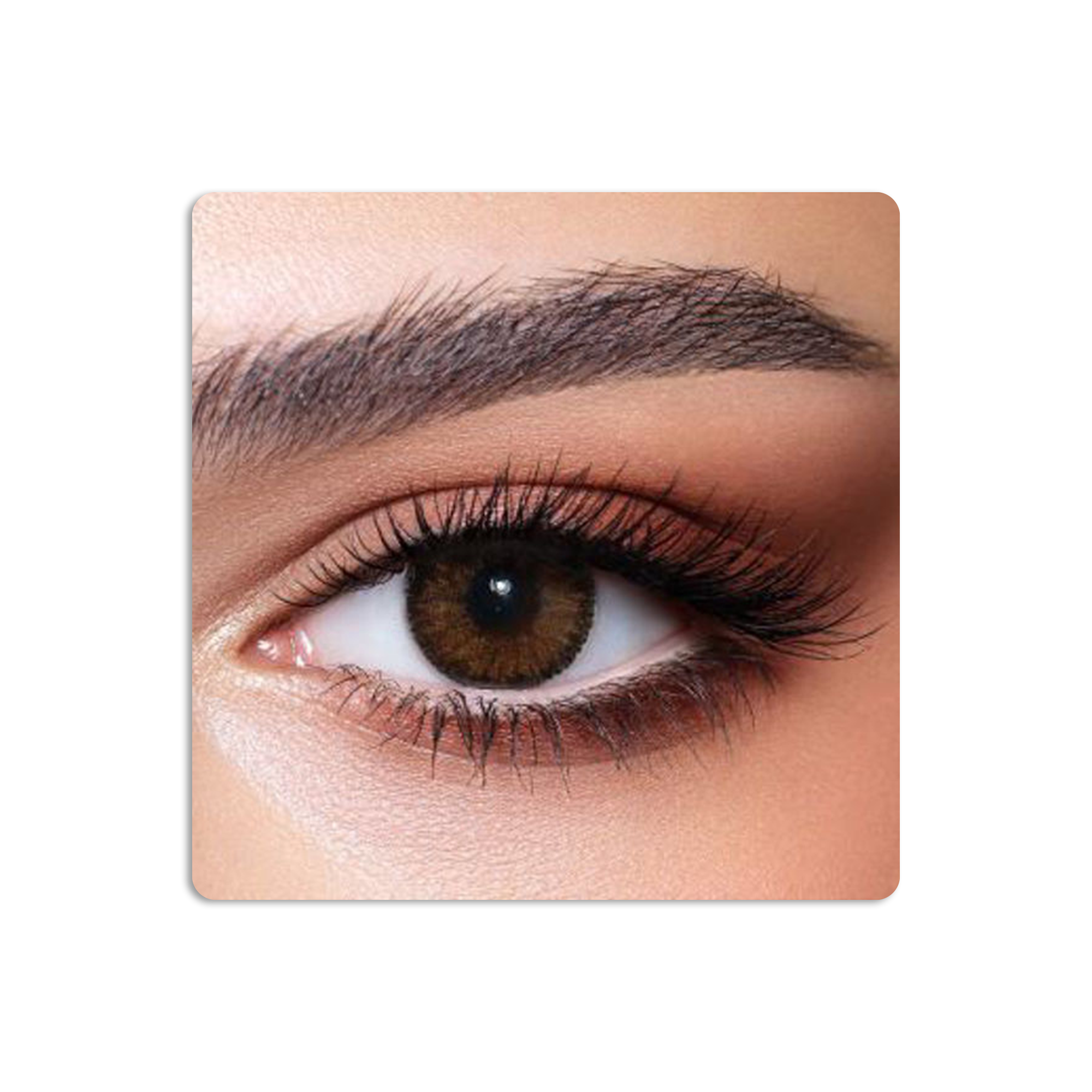 Contour Colored Contact Lenses