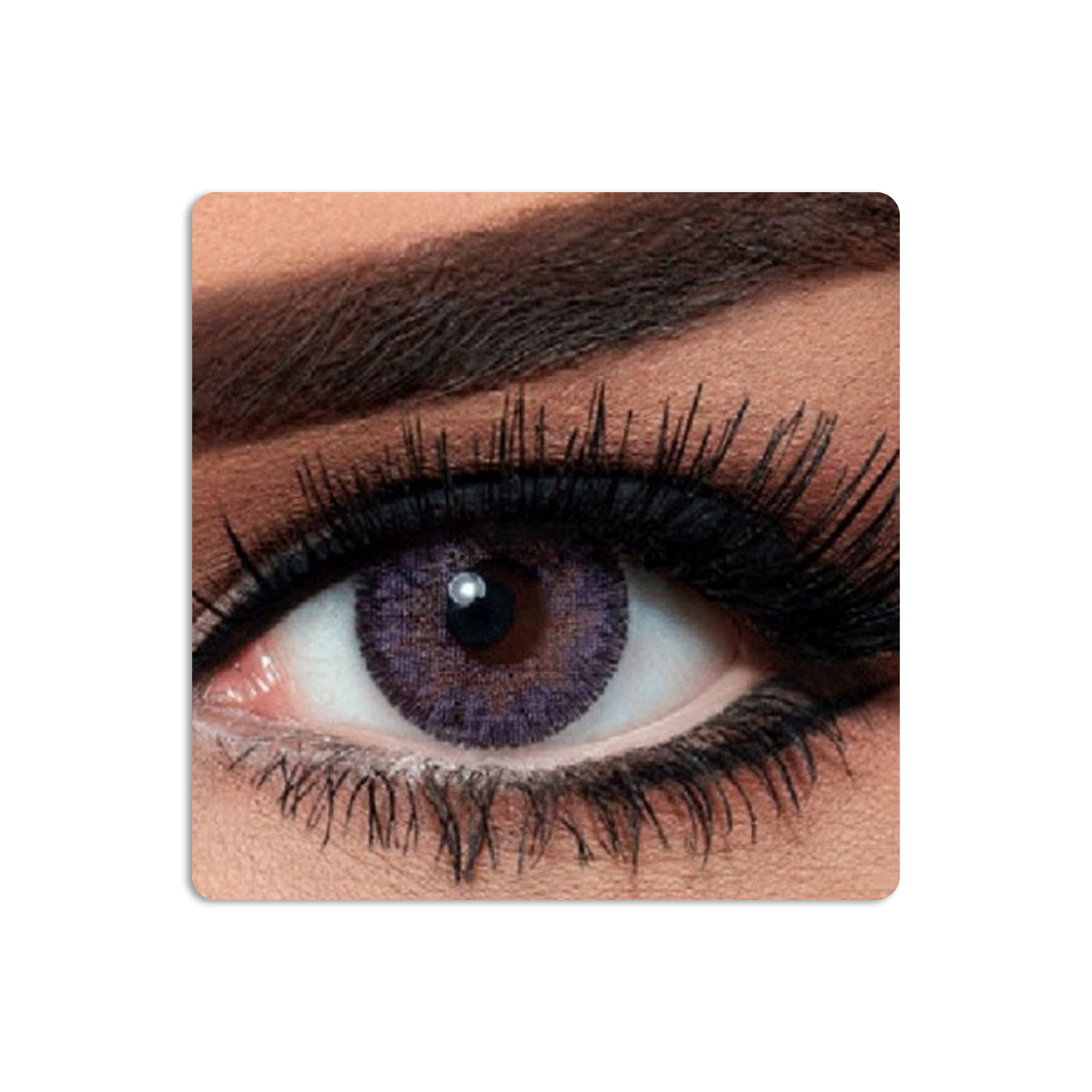 Contour Colored Contact Lenses