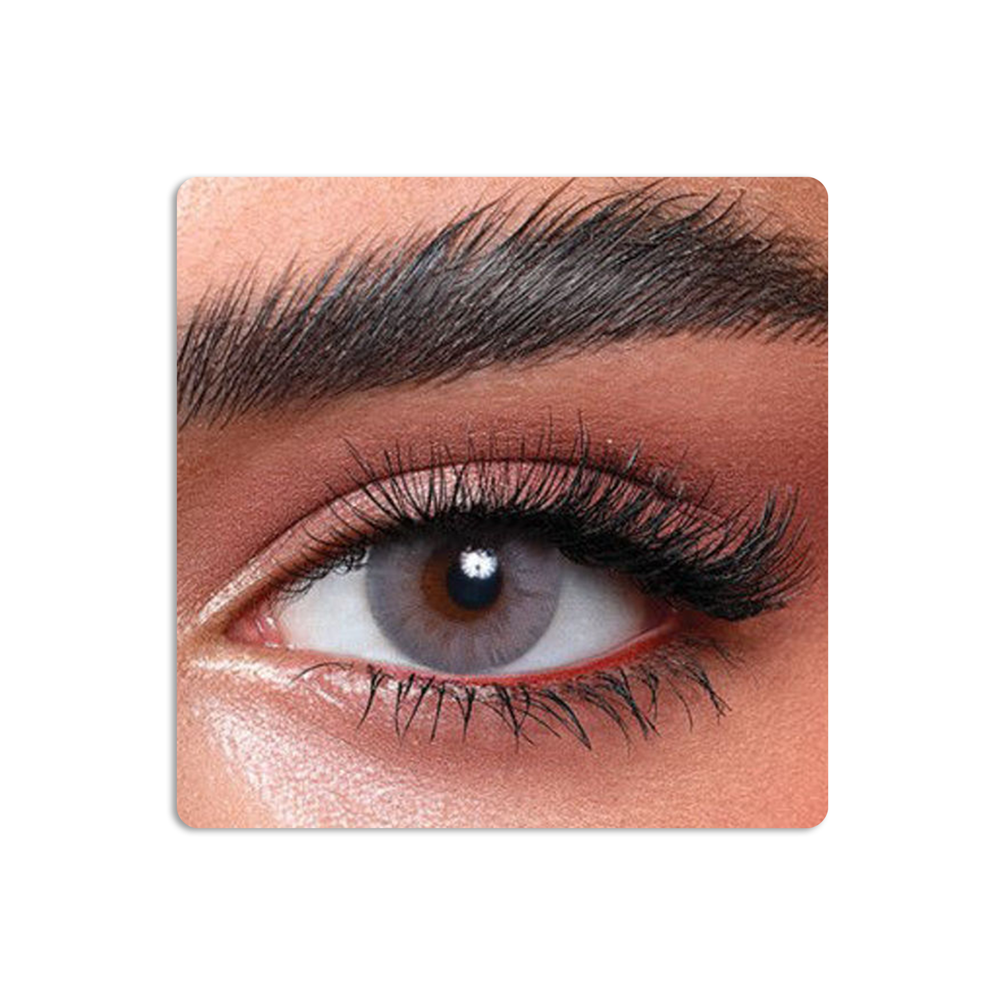 Elite Colored Contact Lenses