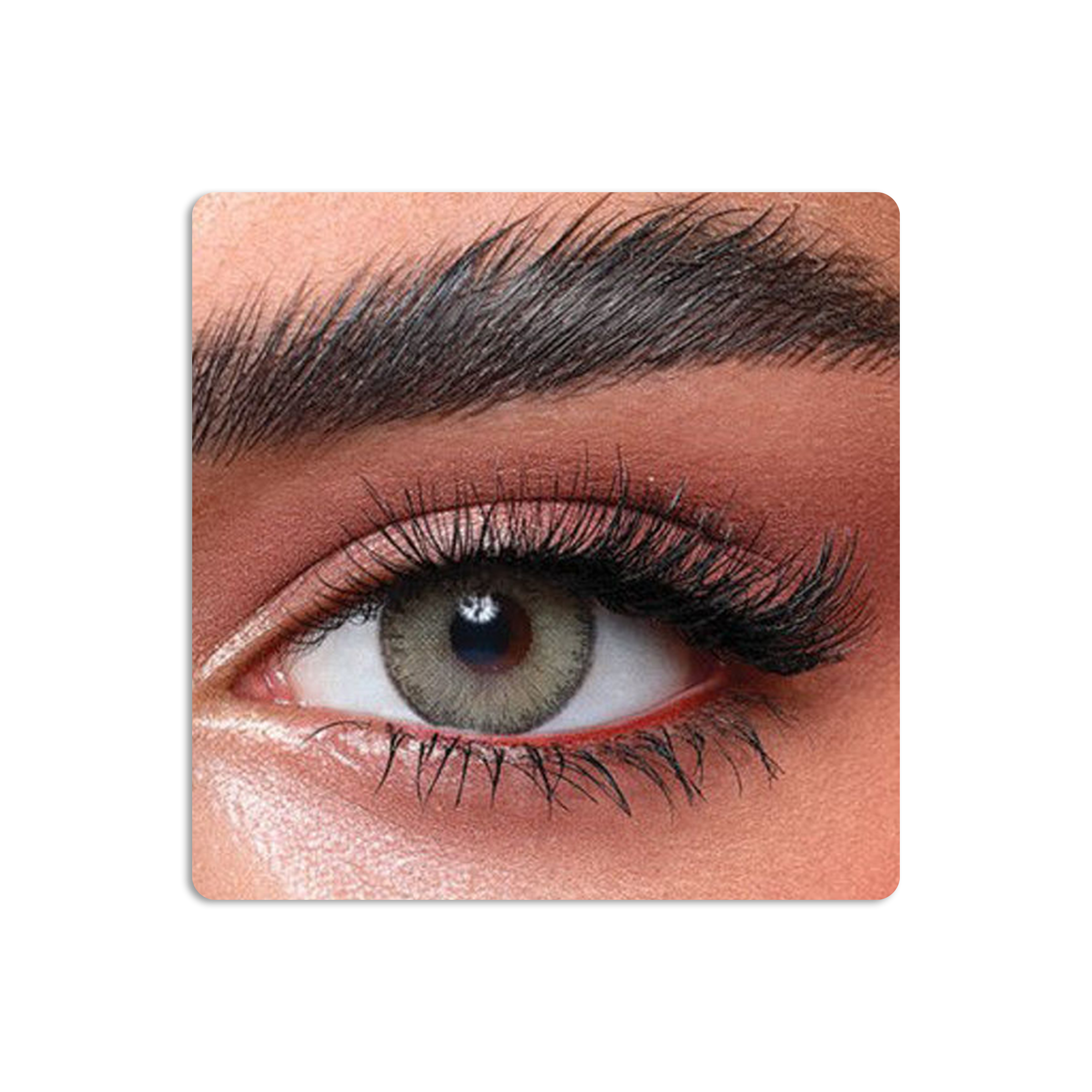 Elite Colored Contact Lenses