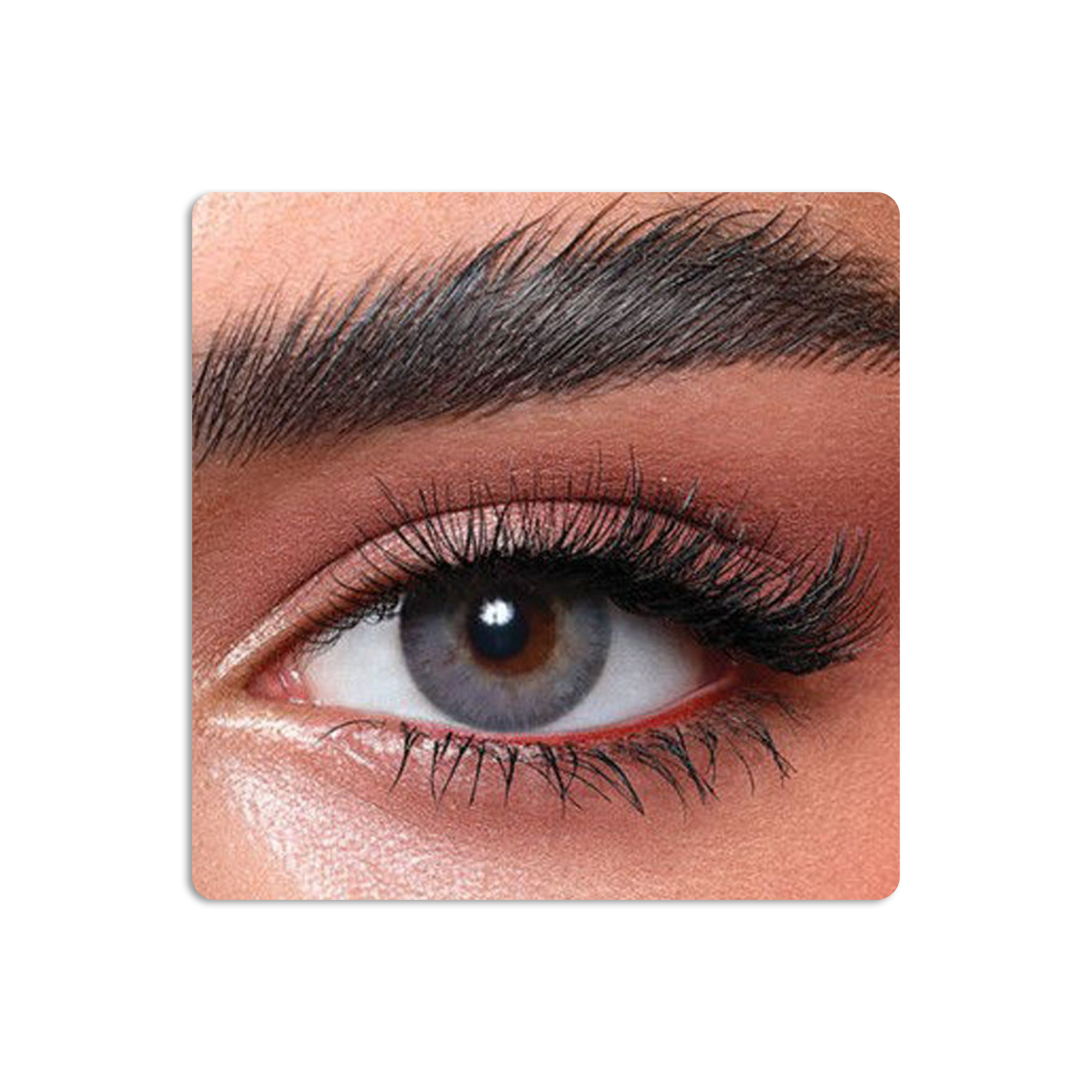 Elite Colored Contact Lenses