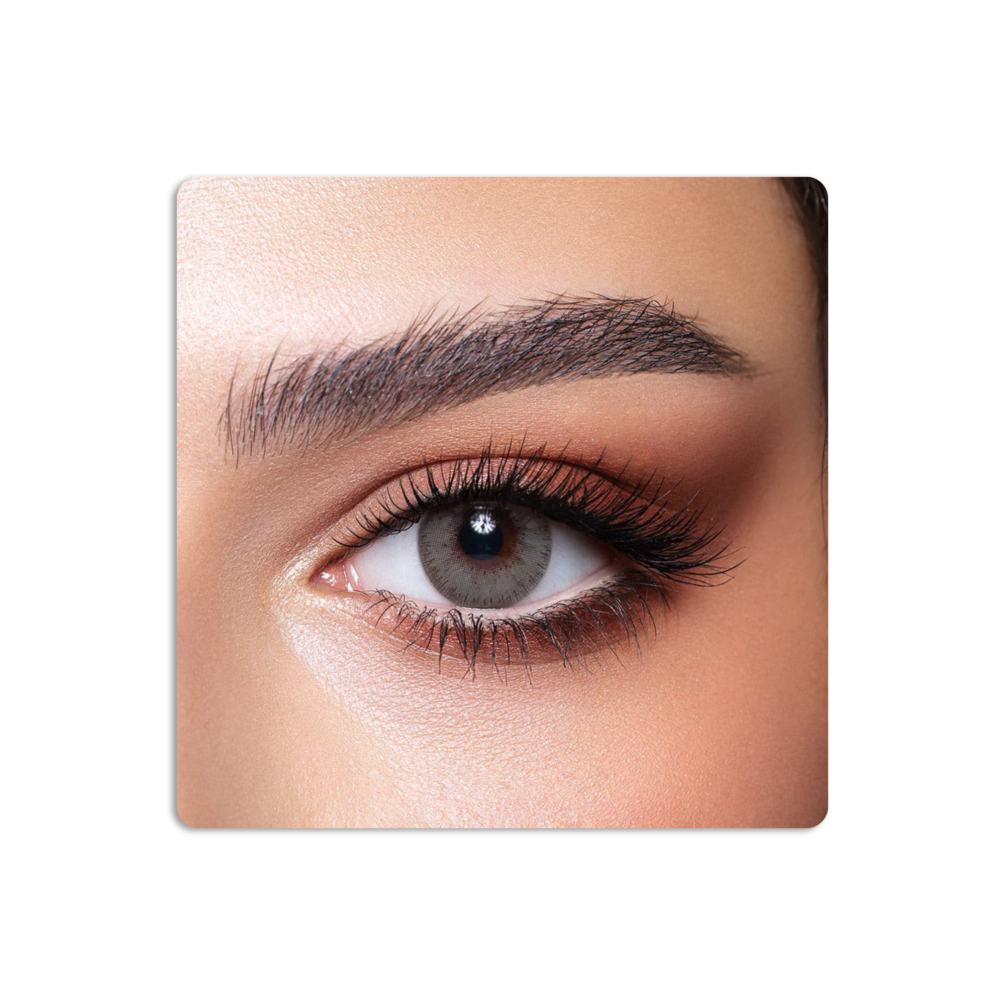 Elite Colored Contact Lenses