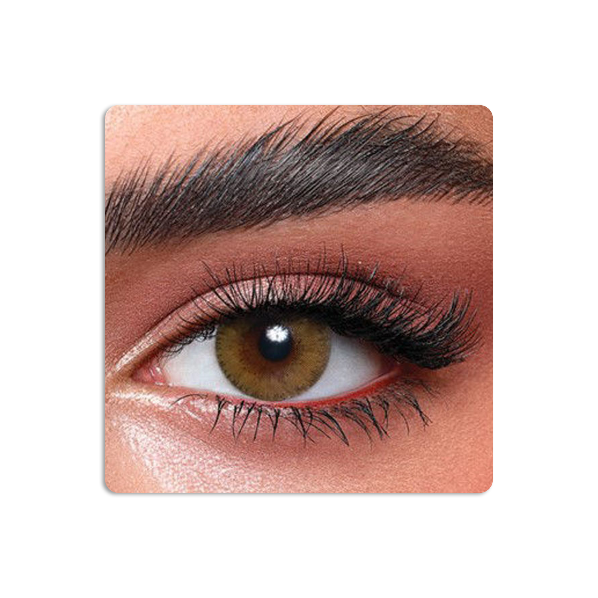 Elite Colored Contact Lenses