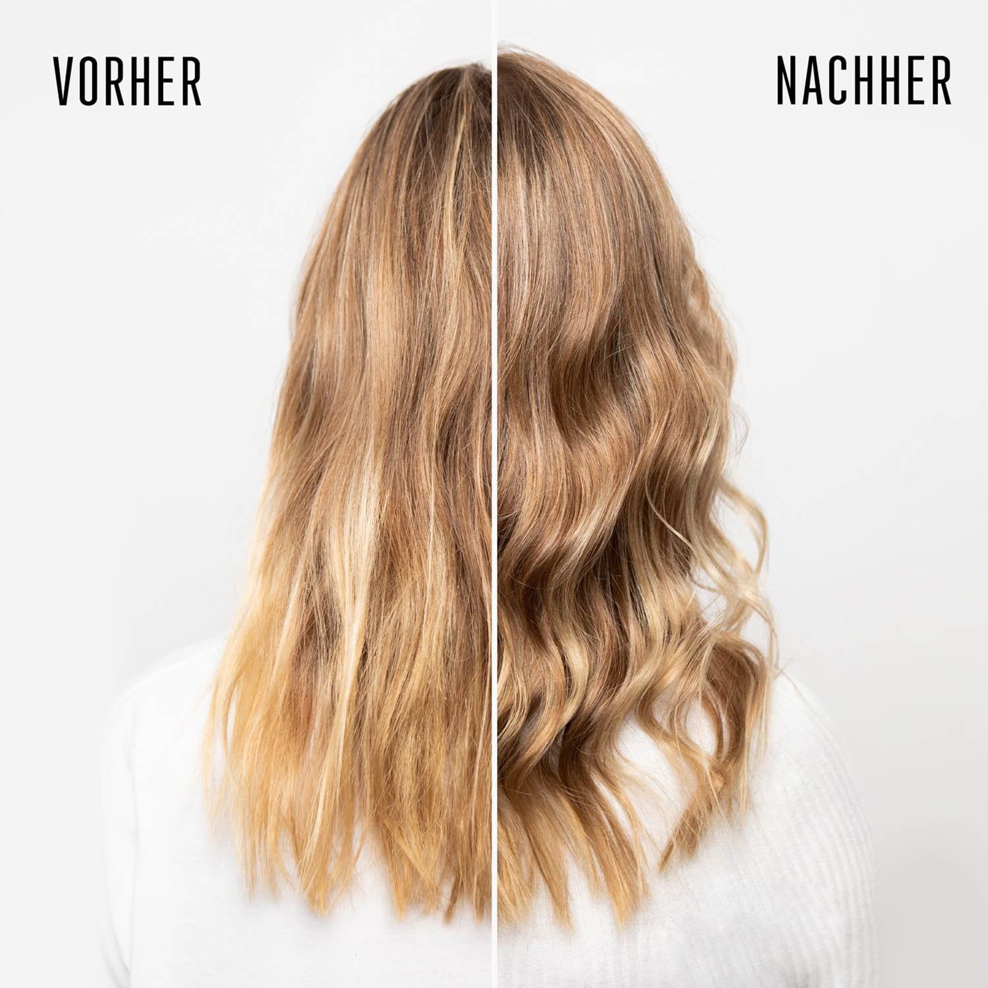 شامبو بي سي بونيكيور كولور فريز