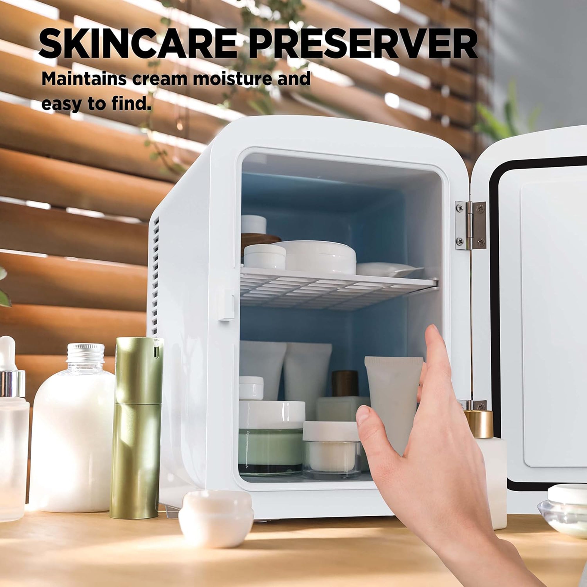 Mini Portable Fridge