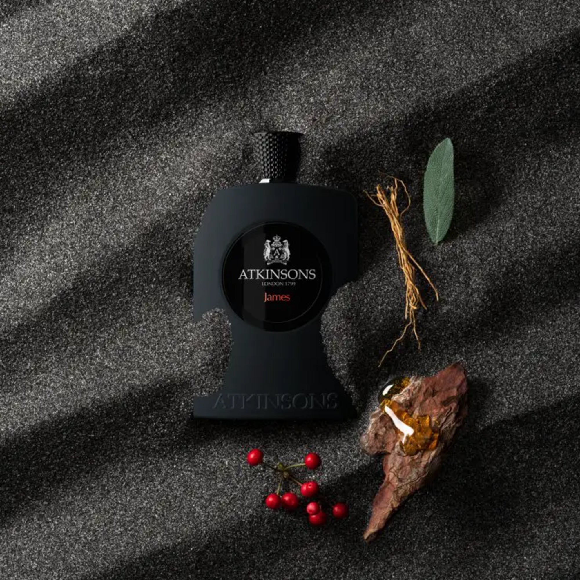 Atkinsons James Eau de Parfum For Him | NumberC
