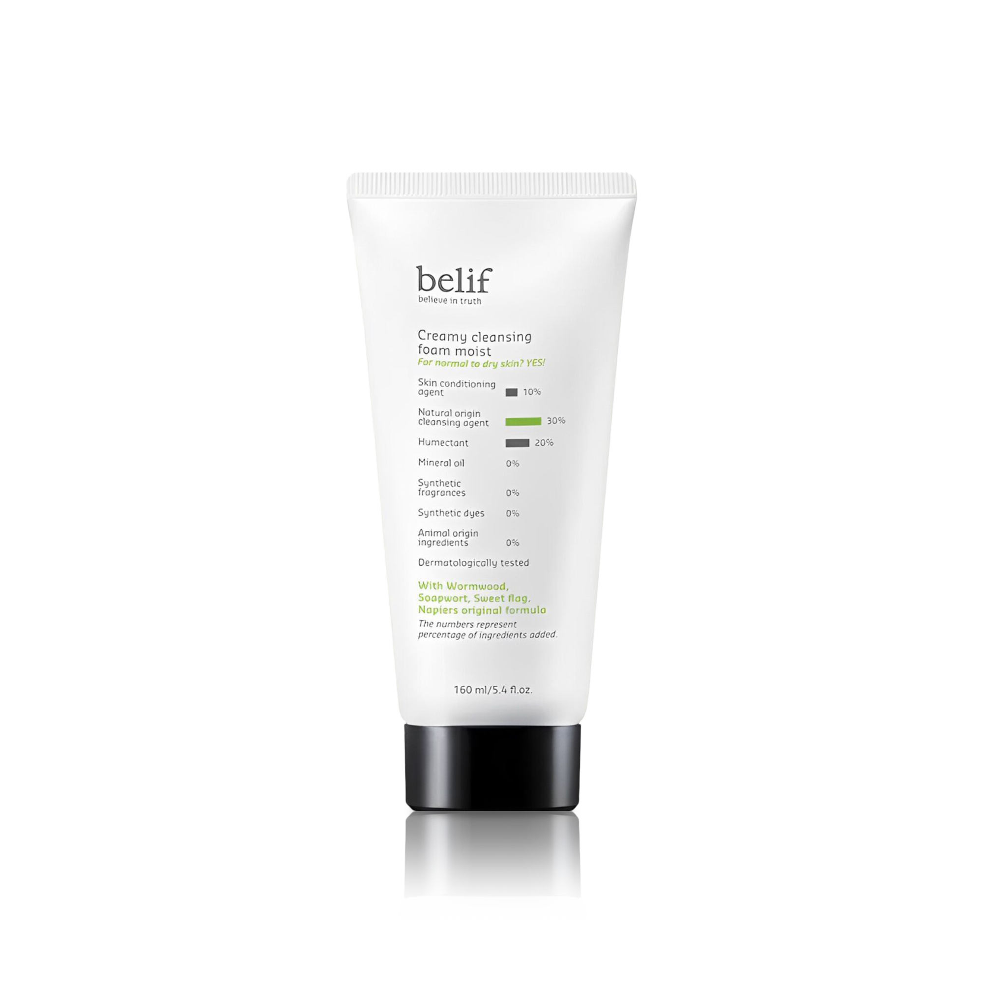 Creamy Cleansing Foam Moist
