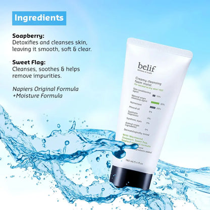 Creamy Cleansing Foam Moist