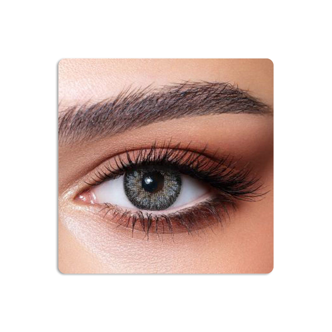 Contour Colored Contact Lenses