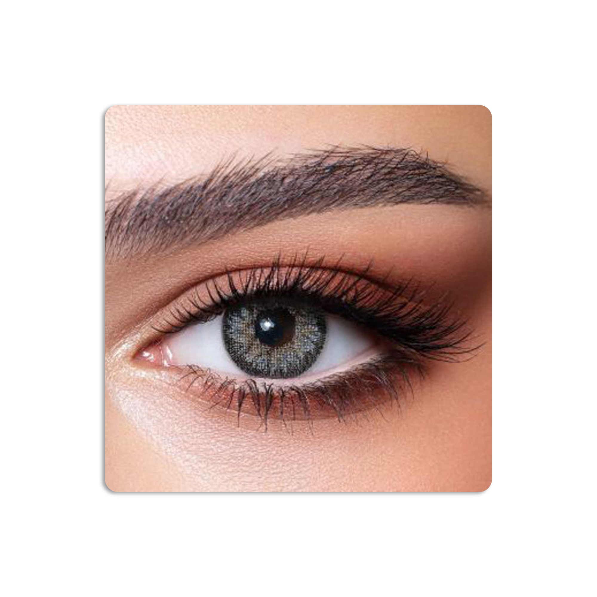 Contour Colored Contact Lenses