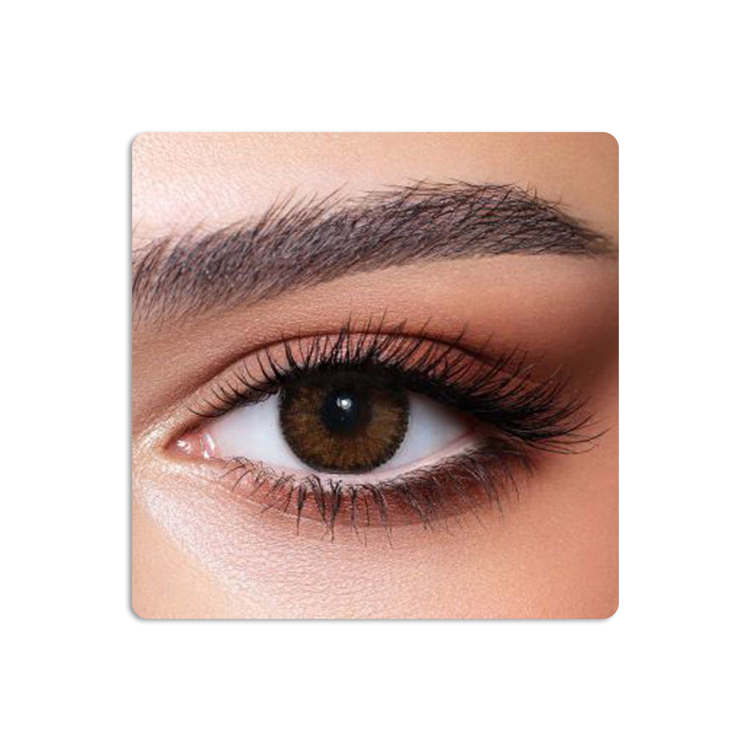 Contour Colored Contact Lenses