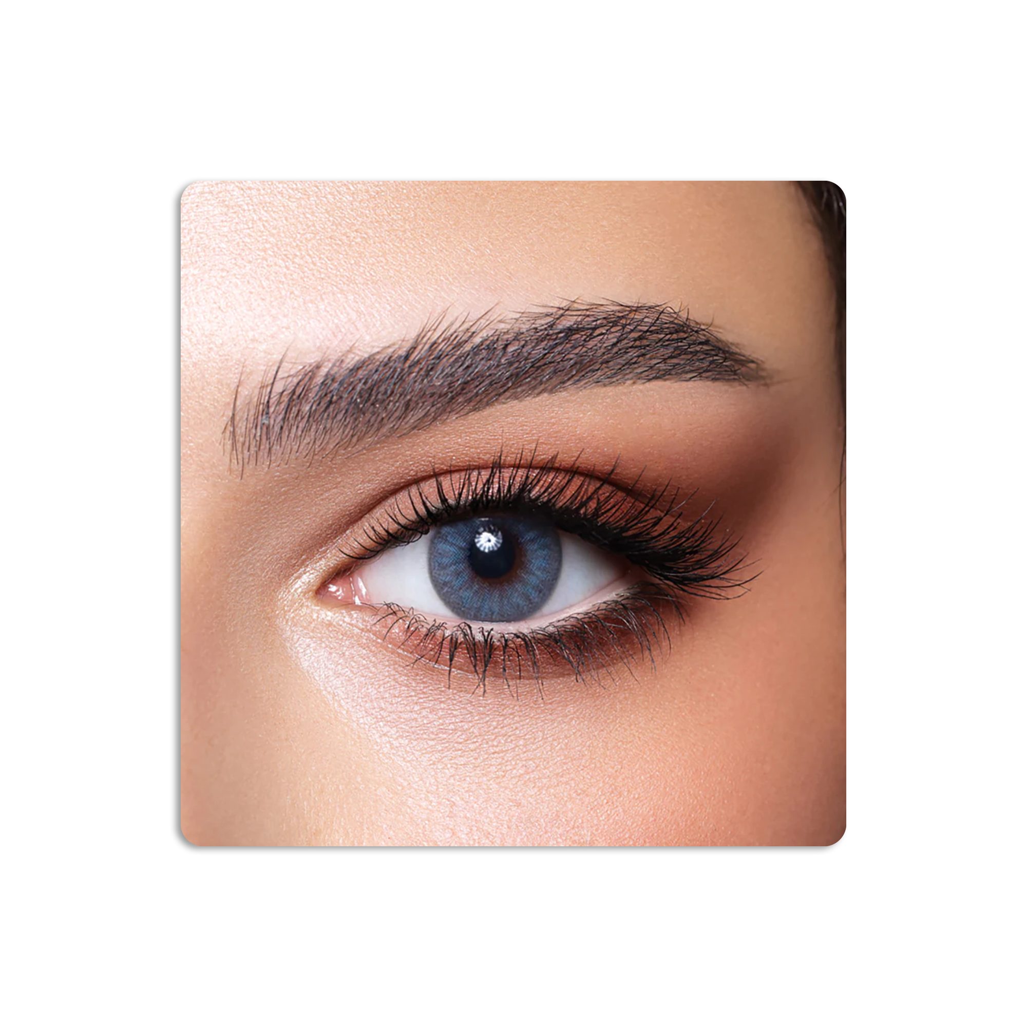 Diamond Colored Contact Lenses