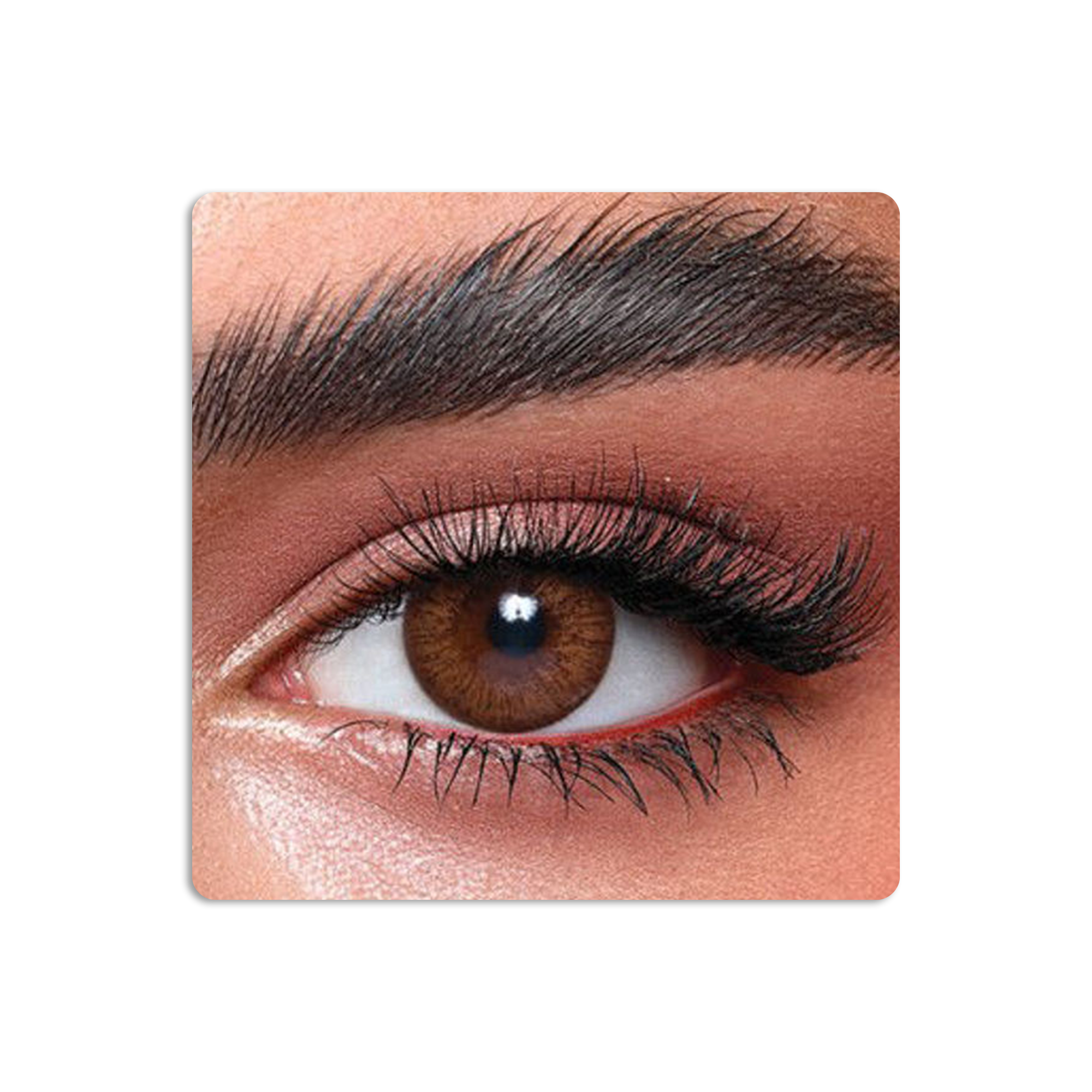 Elite Colored Contact Lenses