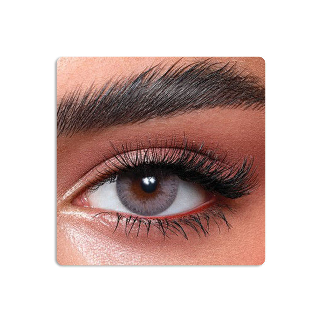 Elite Colored Contact Lenses