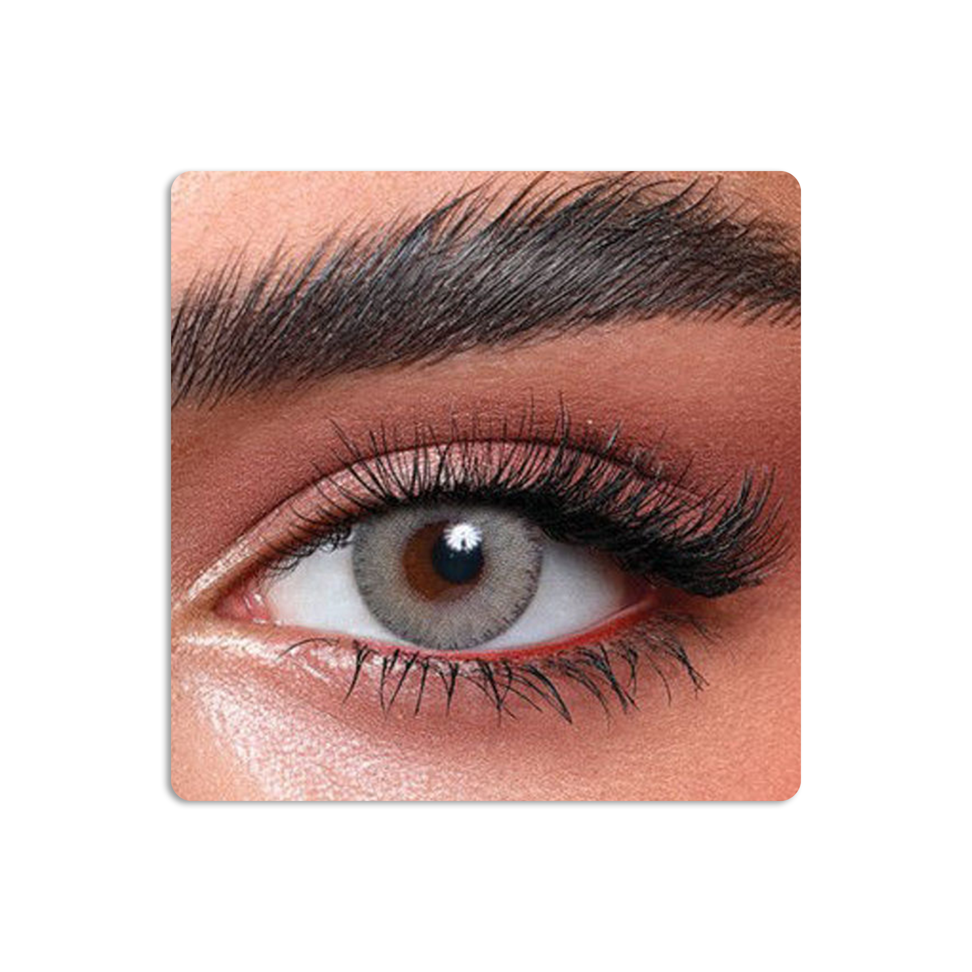 Elite Colored Contact Lenses