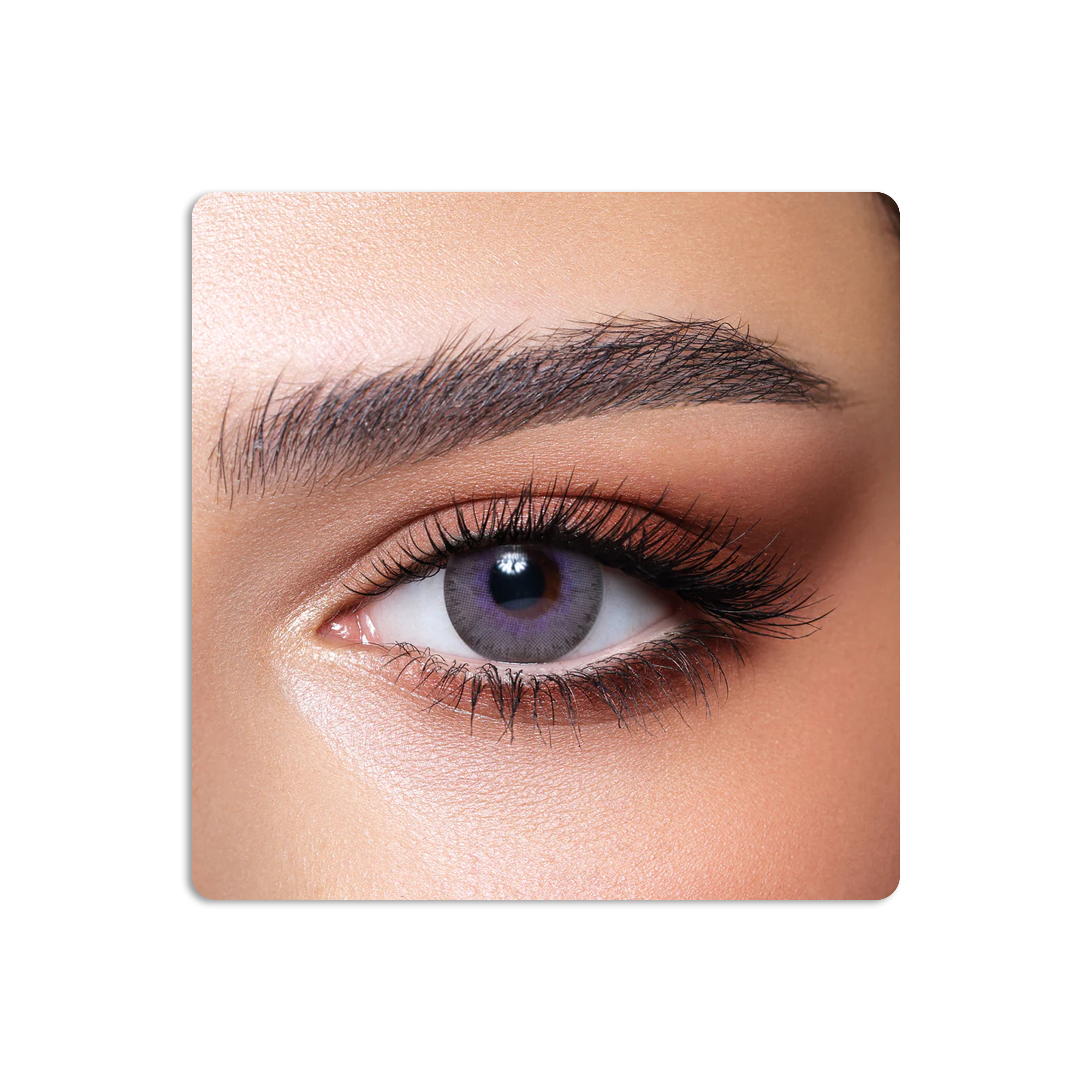 Elite Colored Contact Lenses