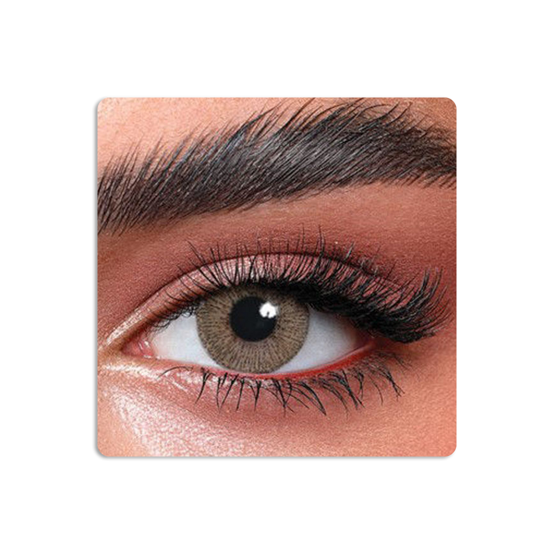 Elite Colored Contact Lenses