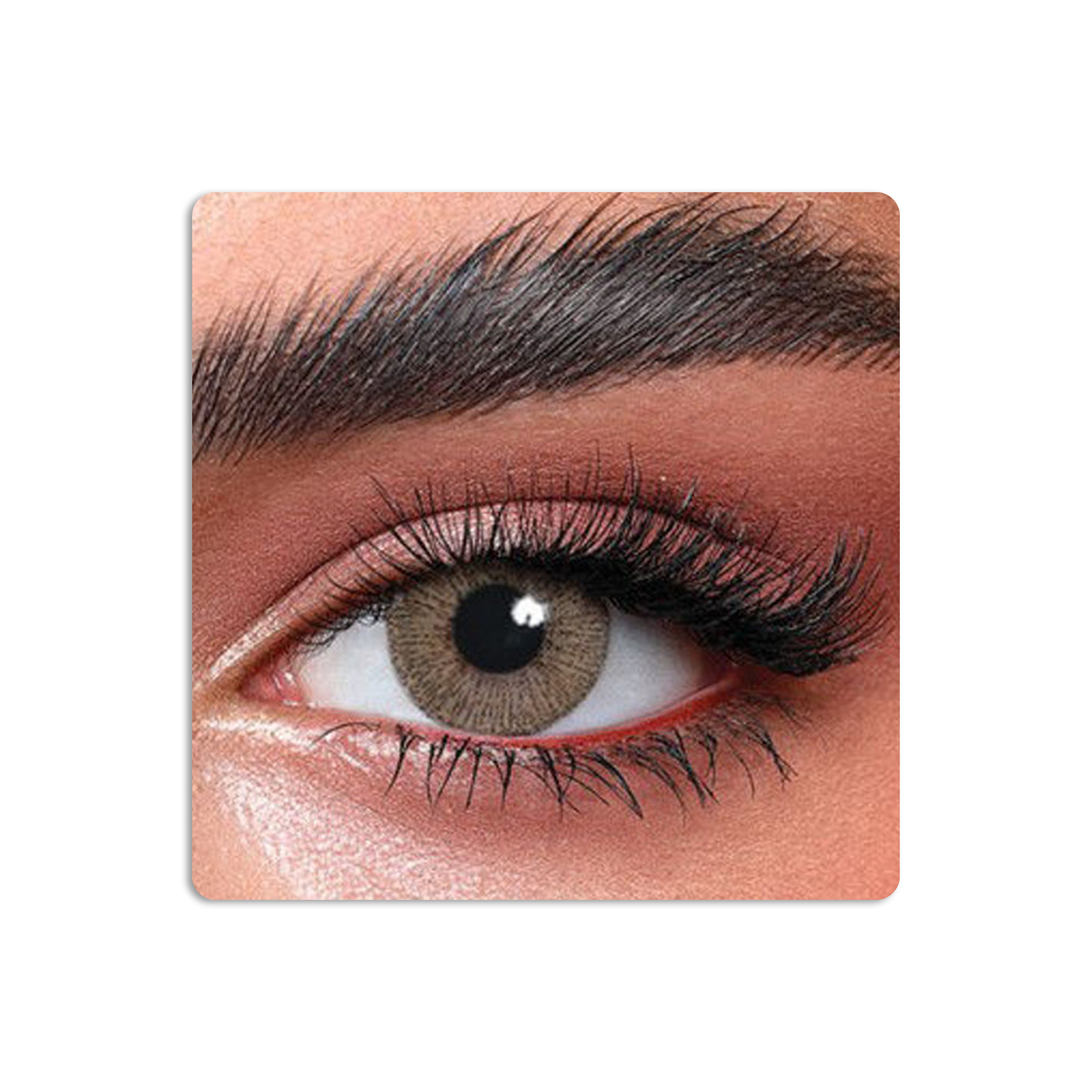 Elite Colored Contact Lenses