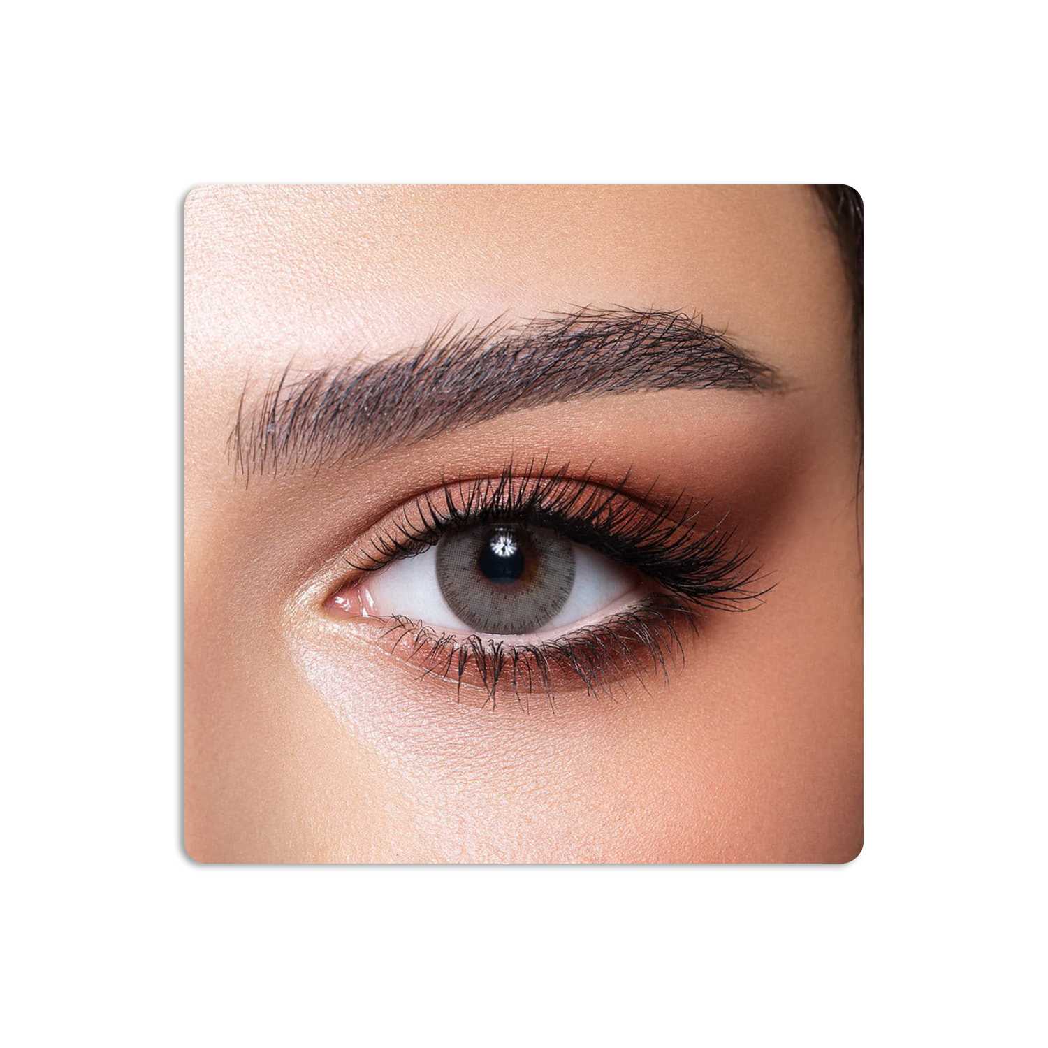 Elite Colored Contact Lenses