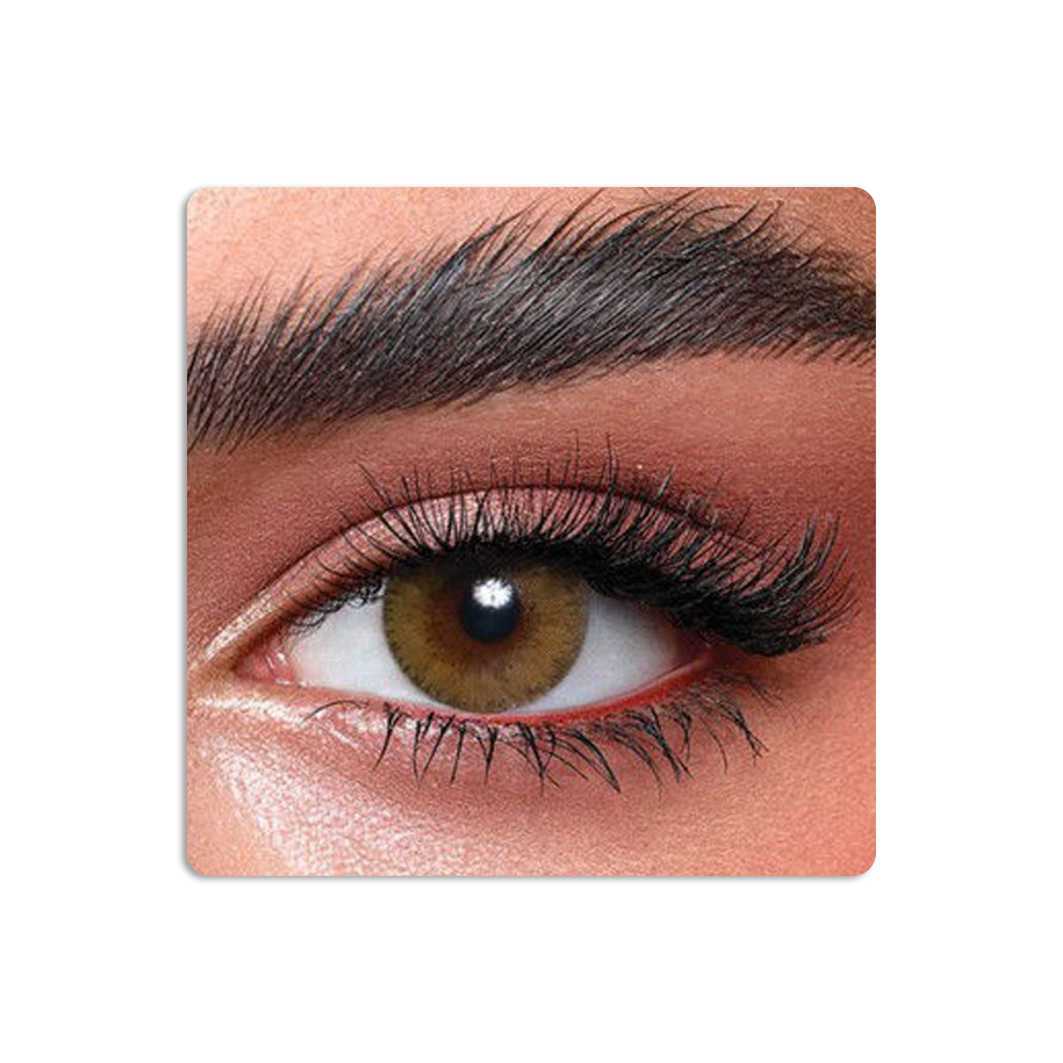 Elite Colored Contact Lenses