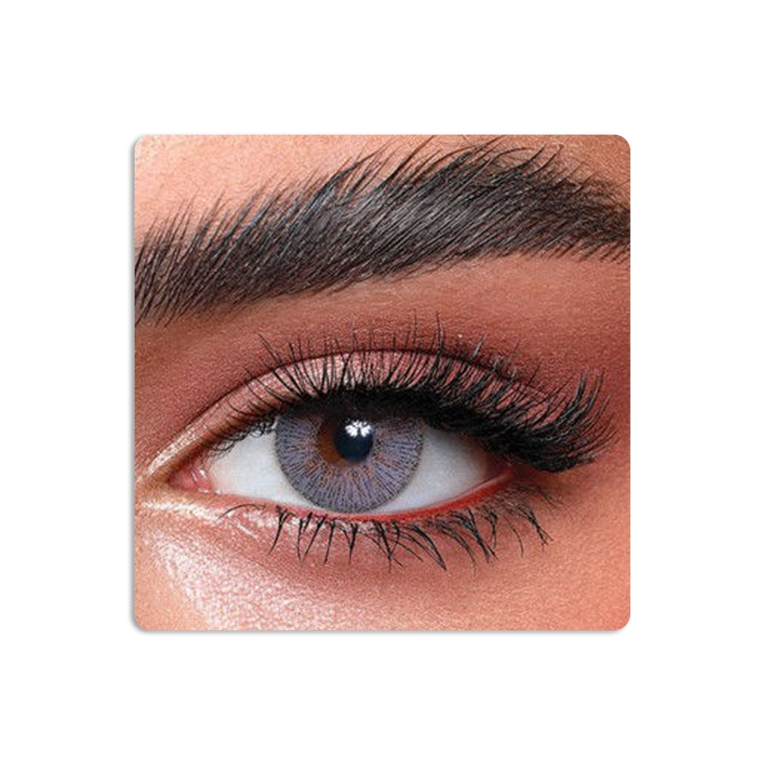 Elite Colored Contact Lenses