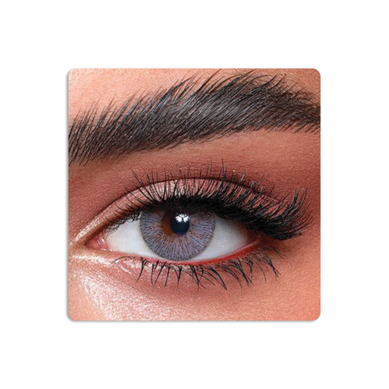 Elite Colored Contact Lenses