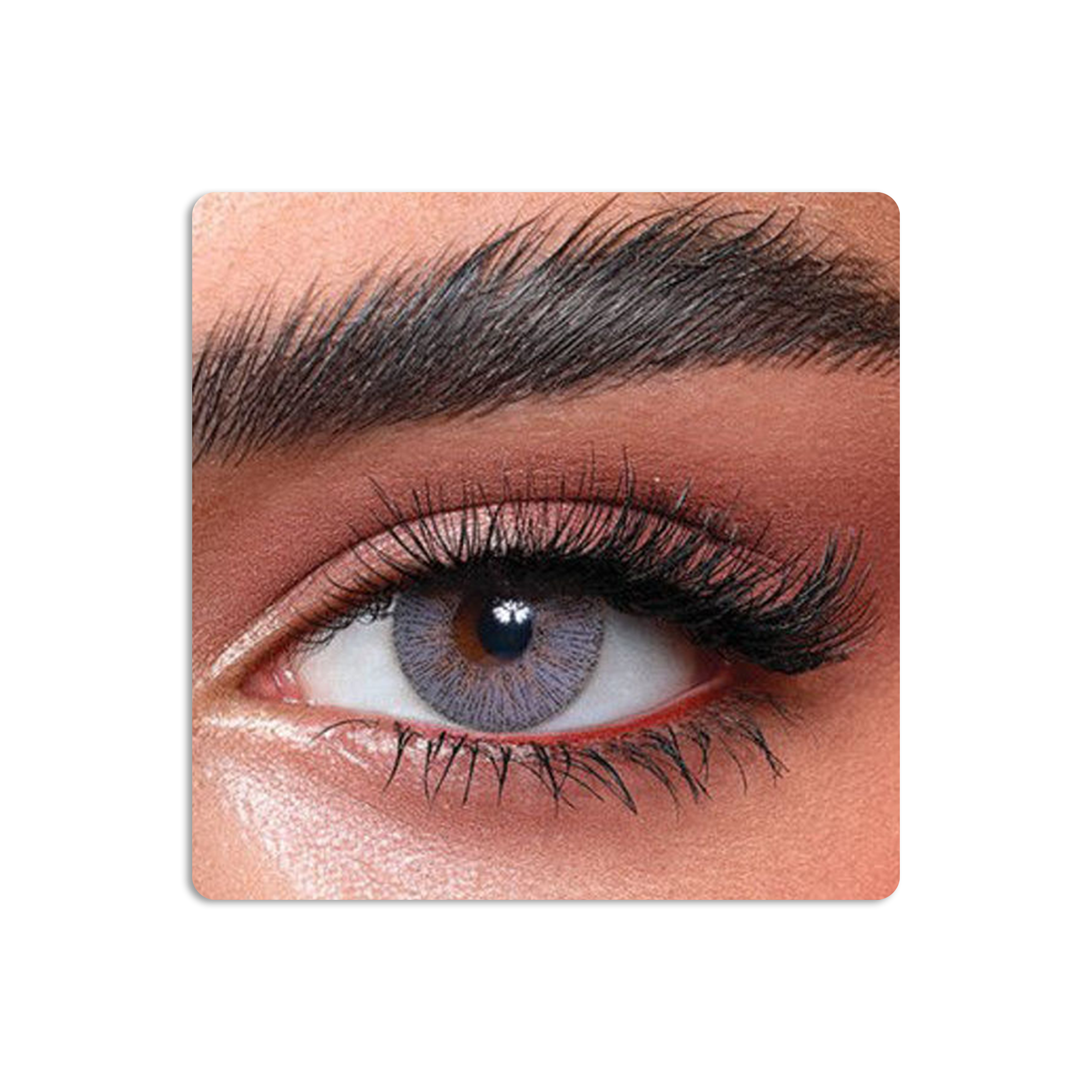 Elite Colored Contact Lenses