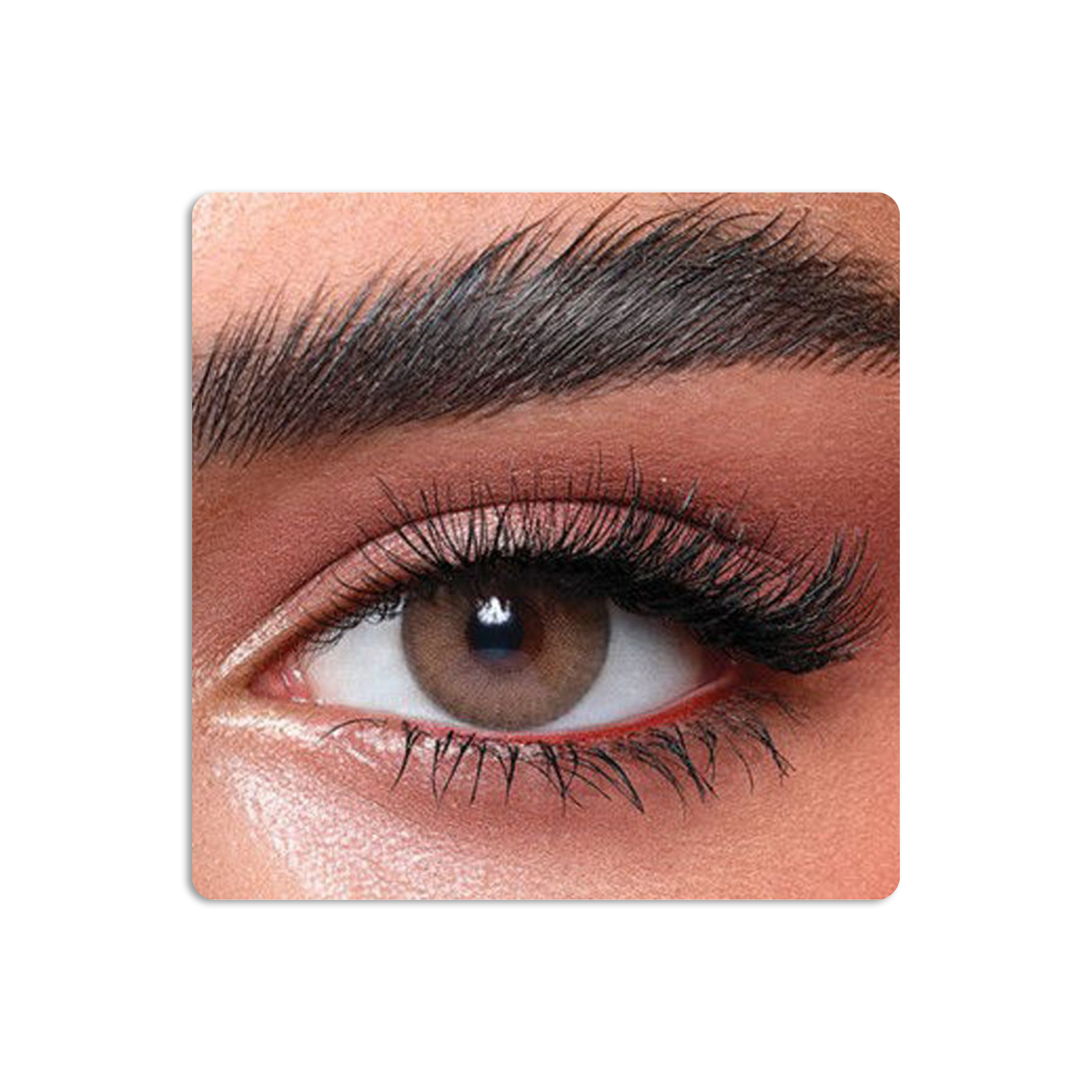 Elite Colored Contact Lenses