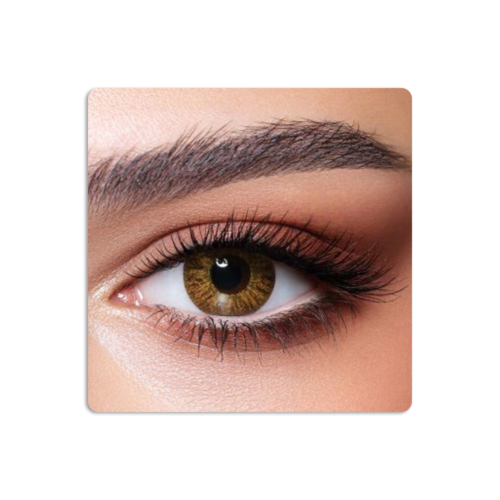 Natural Colored Contact Lenses