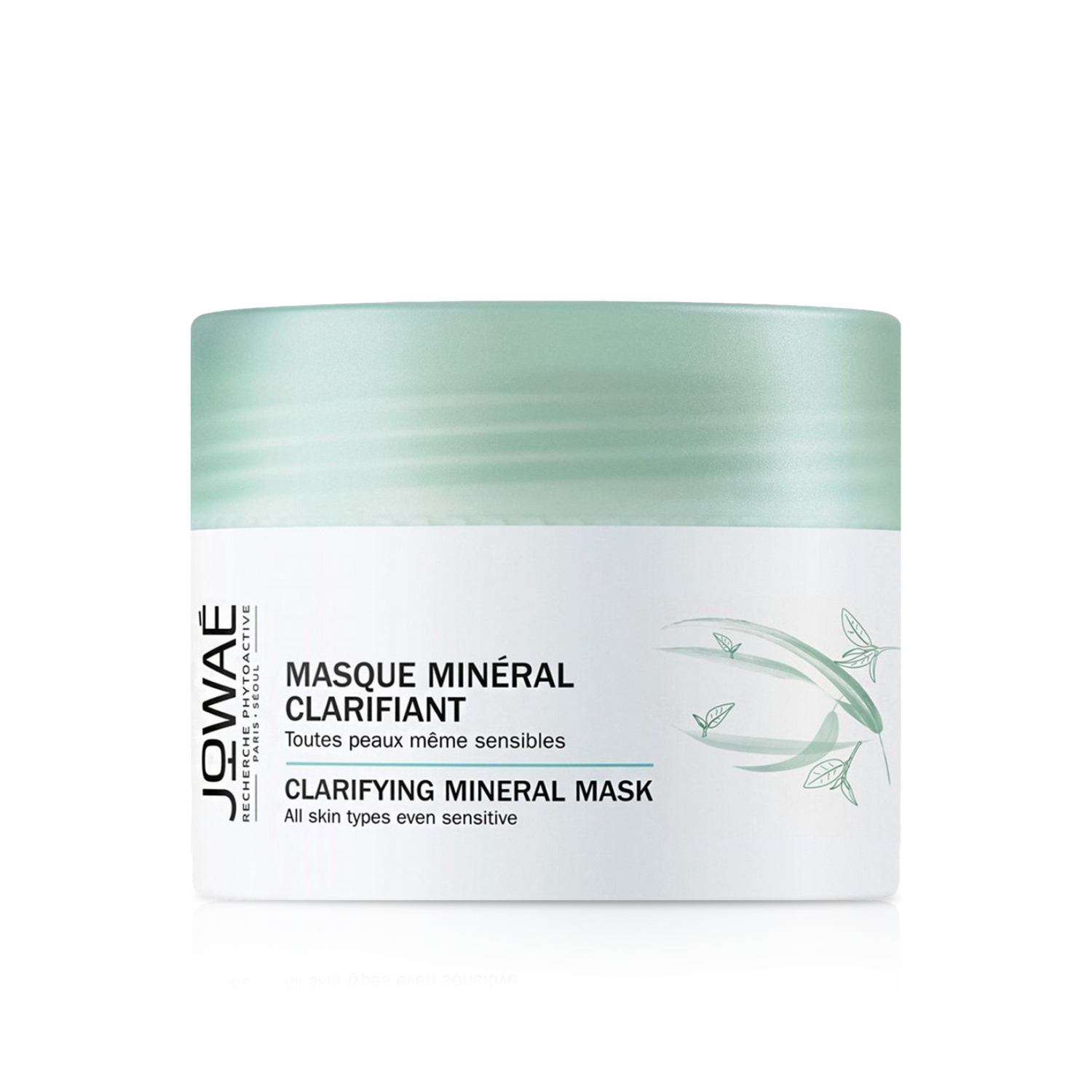 Clarifying Mineral Face Mask