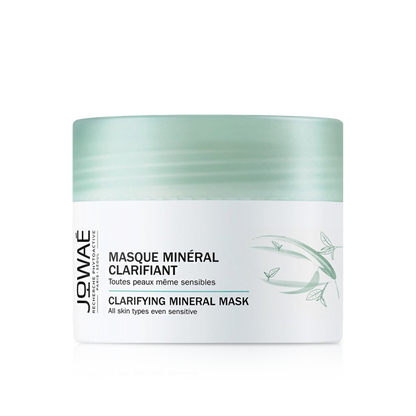 Clarifying Mineral Face Mask