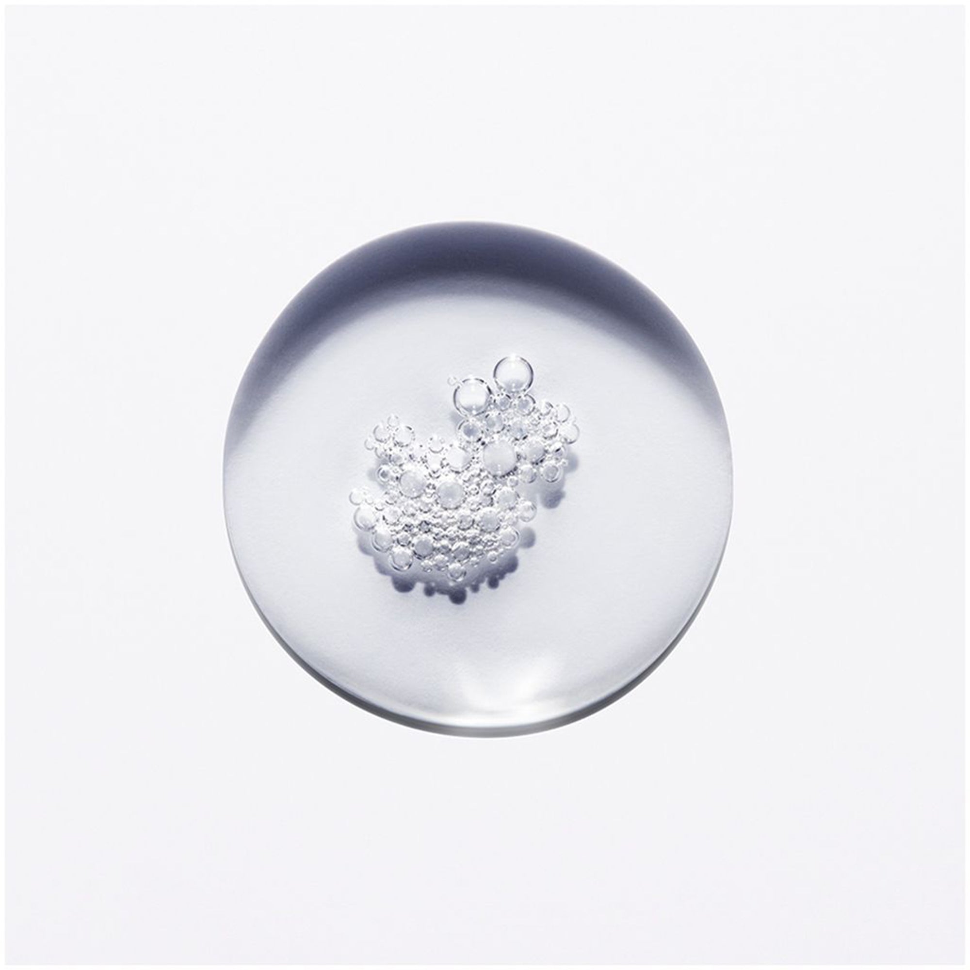 شامبو كرونولوجيست باين ريجينيرانت يوث لتجديد الشعر