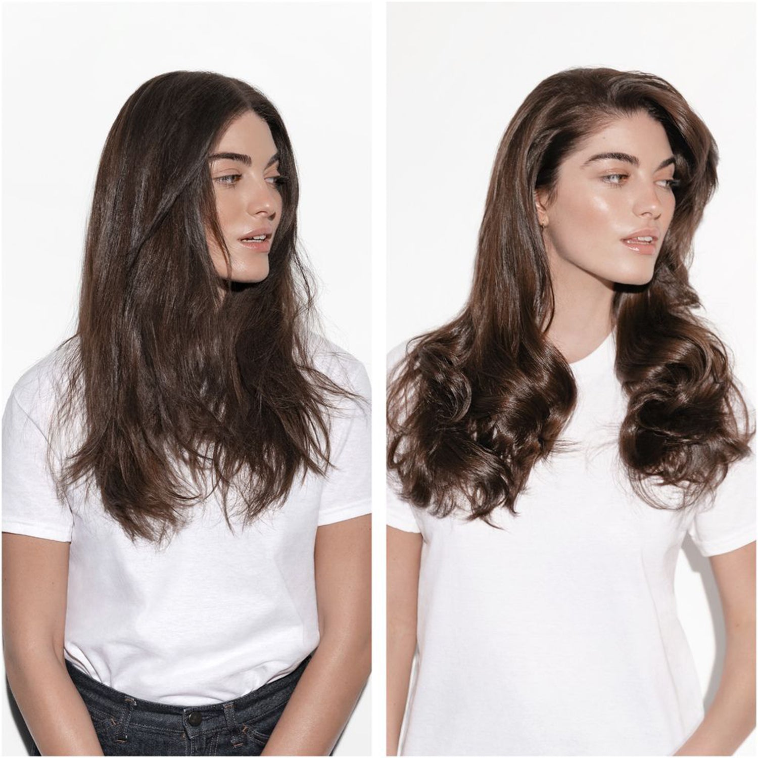 شامبو كرونولوجيست باين ريجينيرانت يوث لتجديد الشعر