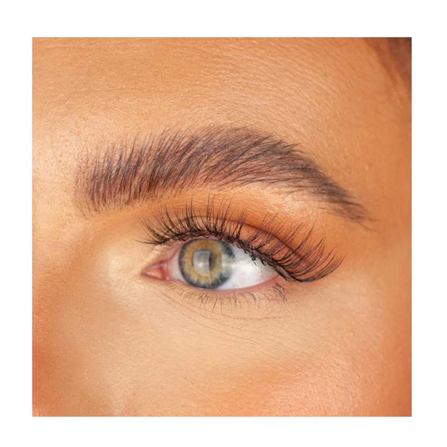 My Lash But Better Lashes - No Filters