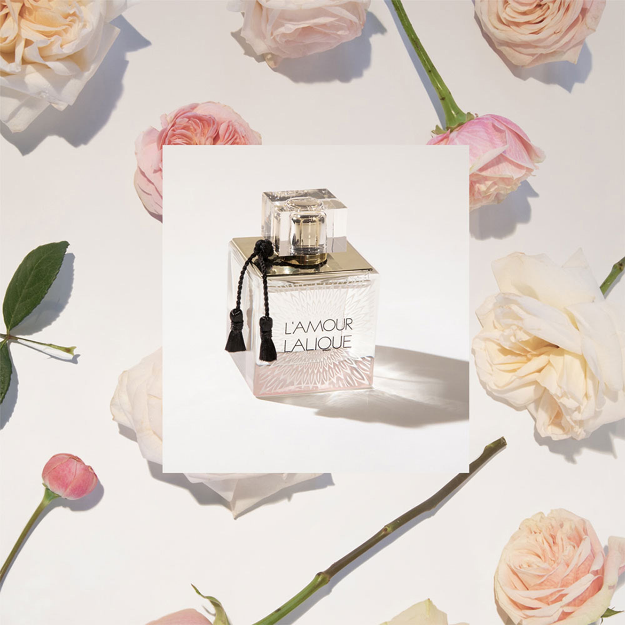 Lalique L'Amour Eau de Parfum For Her | NumberC