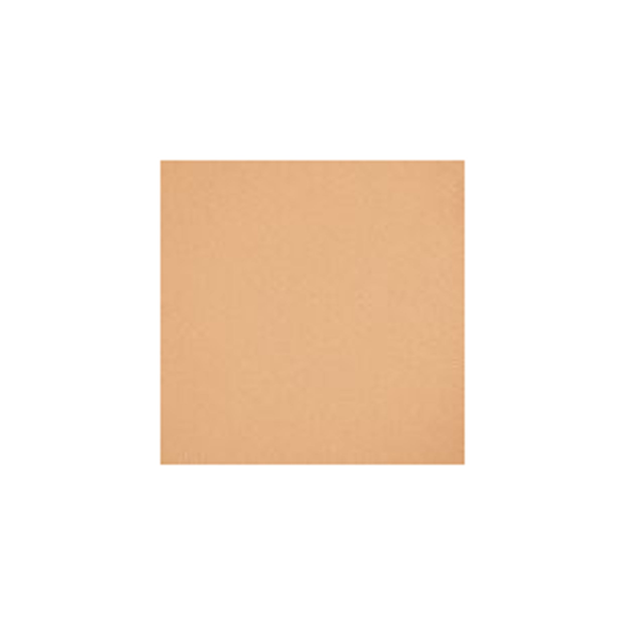High Protection Sun Powder Foundation SPF 50
