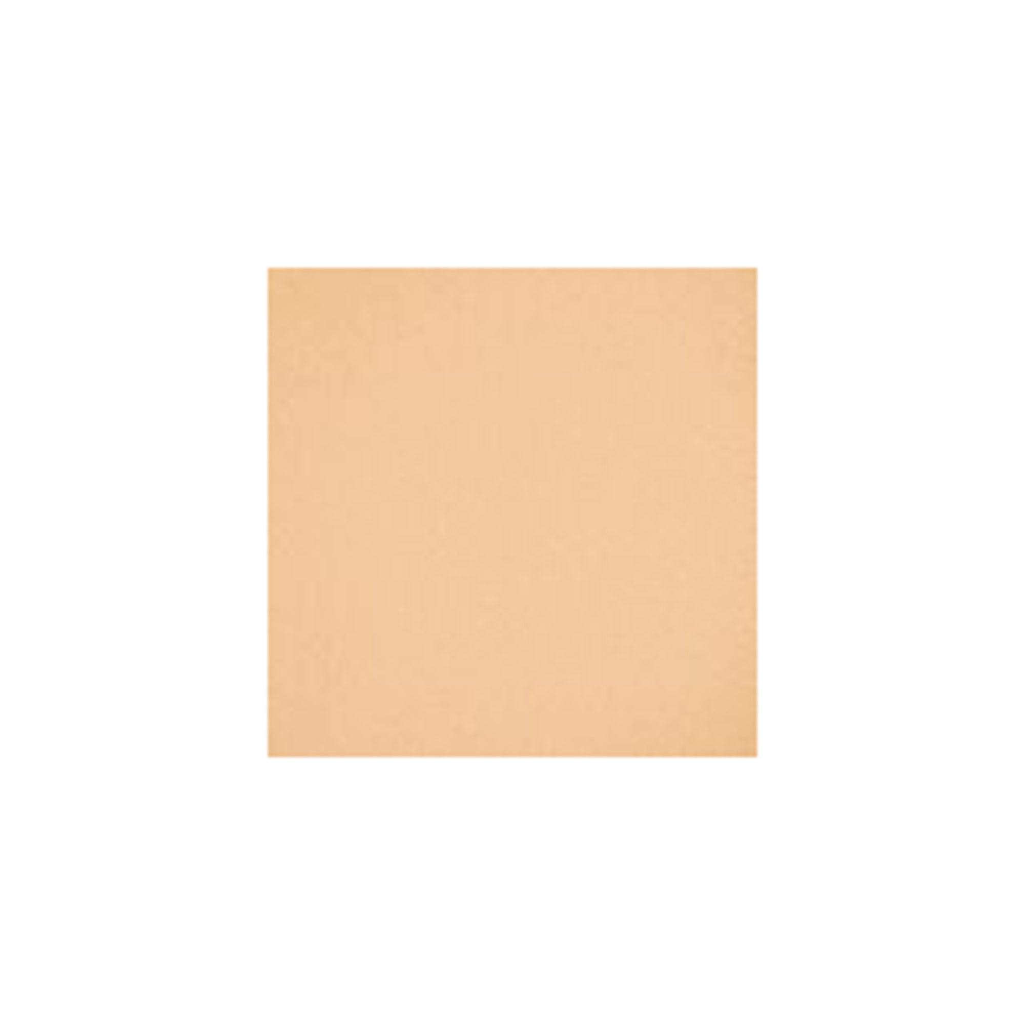 High Protection Sun Powder Foundation SPF 50