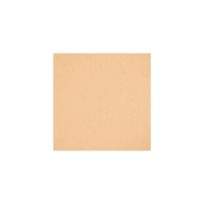 High Protection Sun Powder Foundation SPF 50