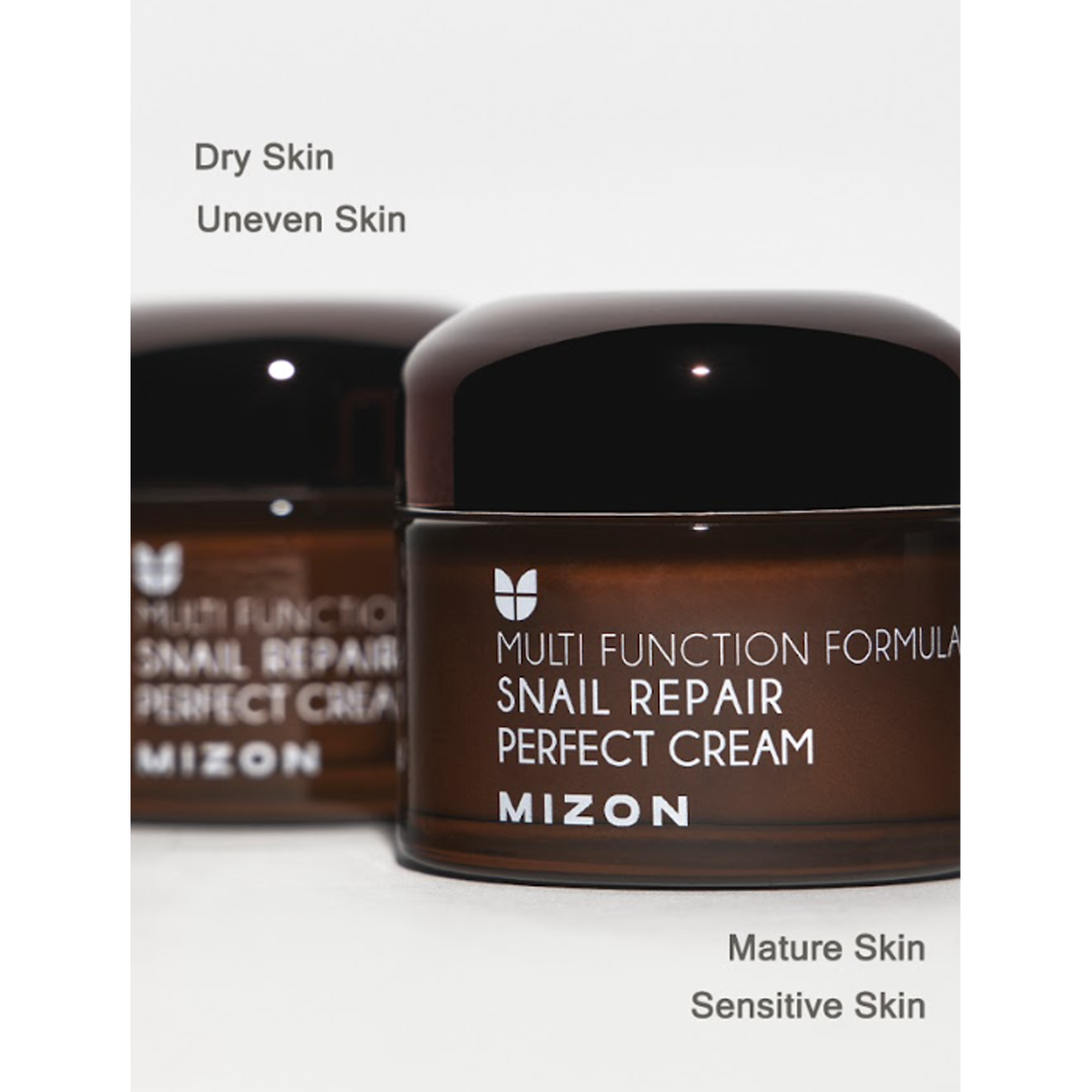 Snail Repair Perfect Cream