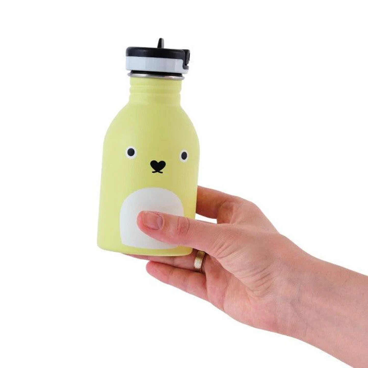 Stainless Steel Water Bottle
