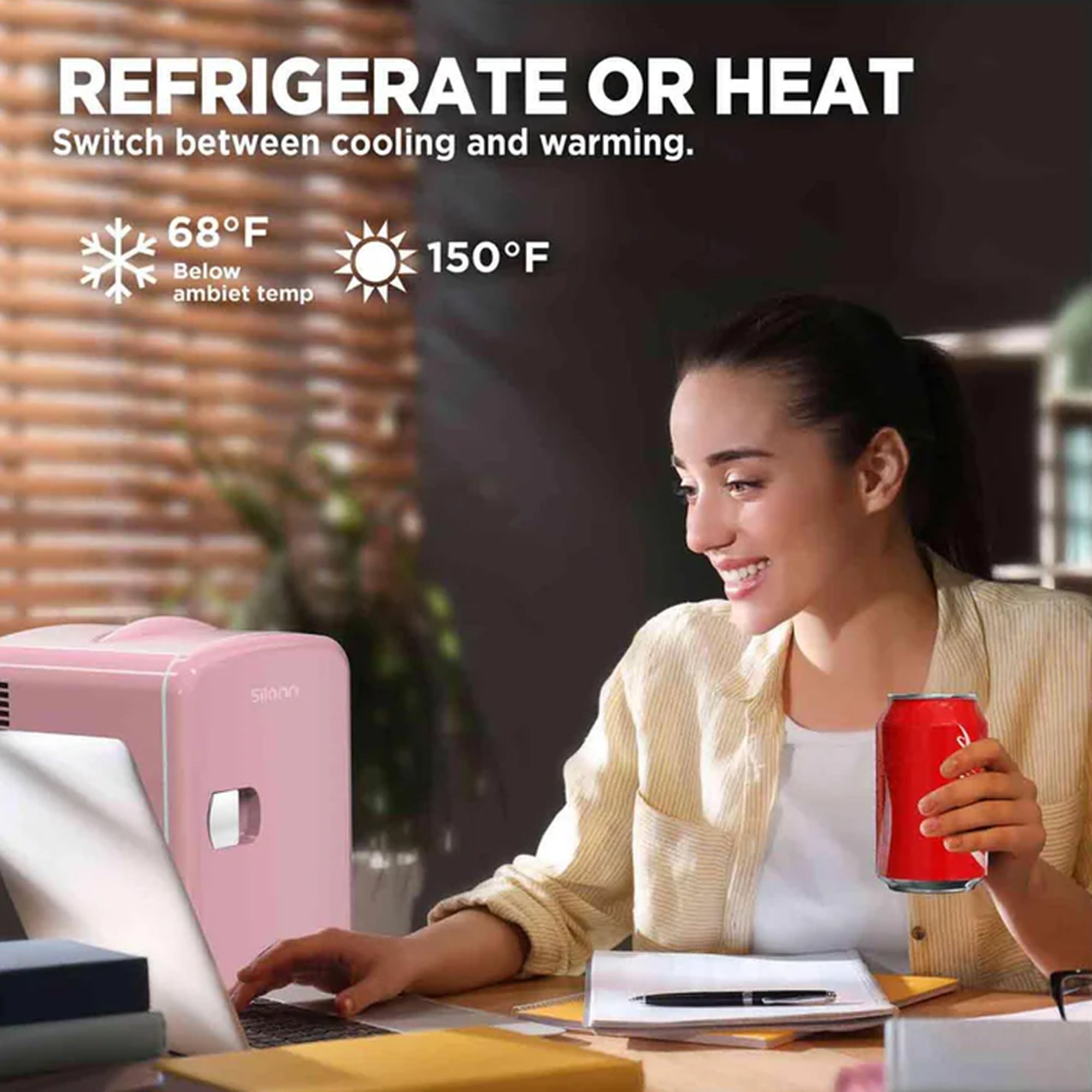 Mini Portable Fridge