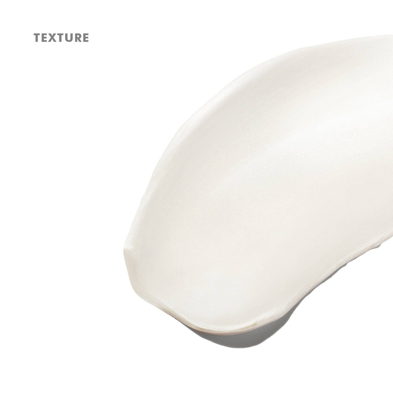 Daily Moisture Cream