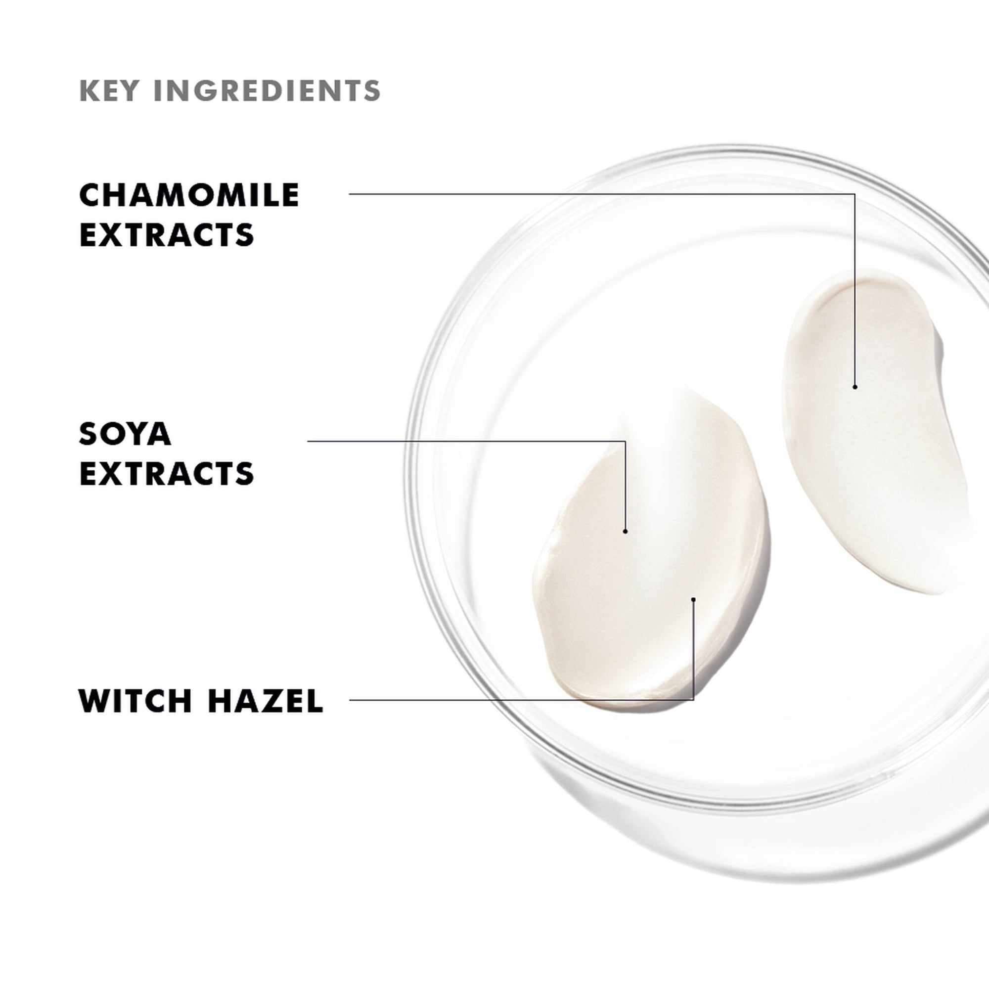 Daily Moisture Cream