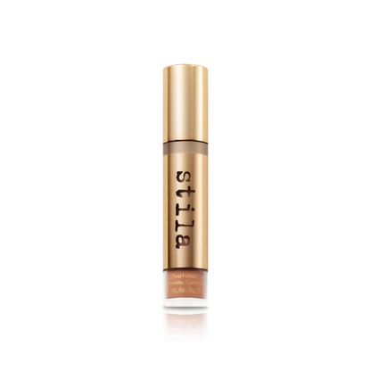 Pixel Perfect Concealer