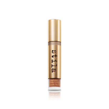 Pixel Perfect Concealer