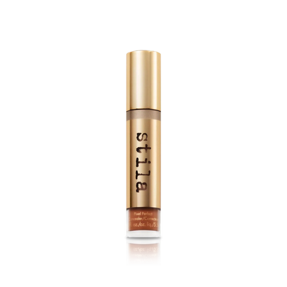 Pixel Perfect Concealer