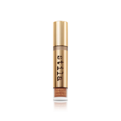 Pixel Perfect Concealer