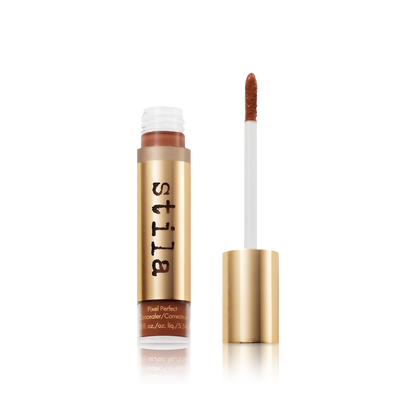 Pixel Perfect Concealer