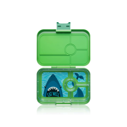 Jurrasic Green - Shark Tapas Lunchbox