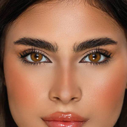 1 Day Contact Lenses